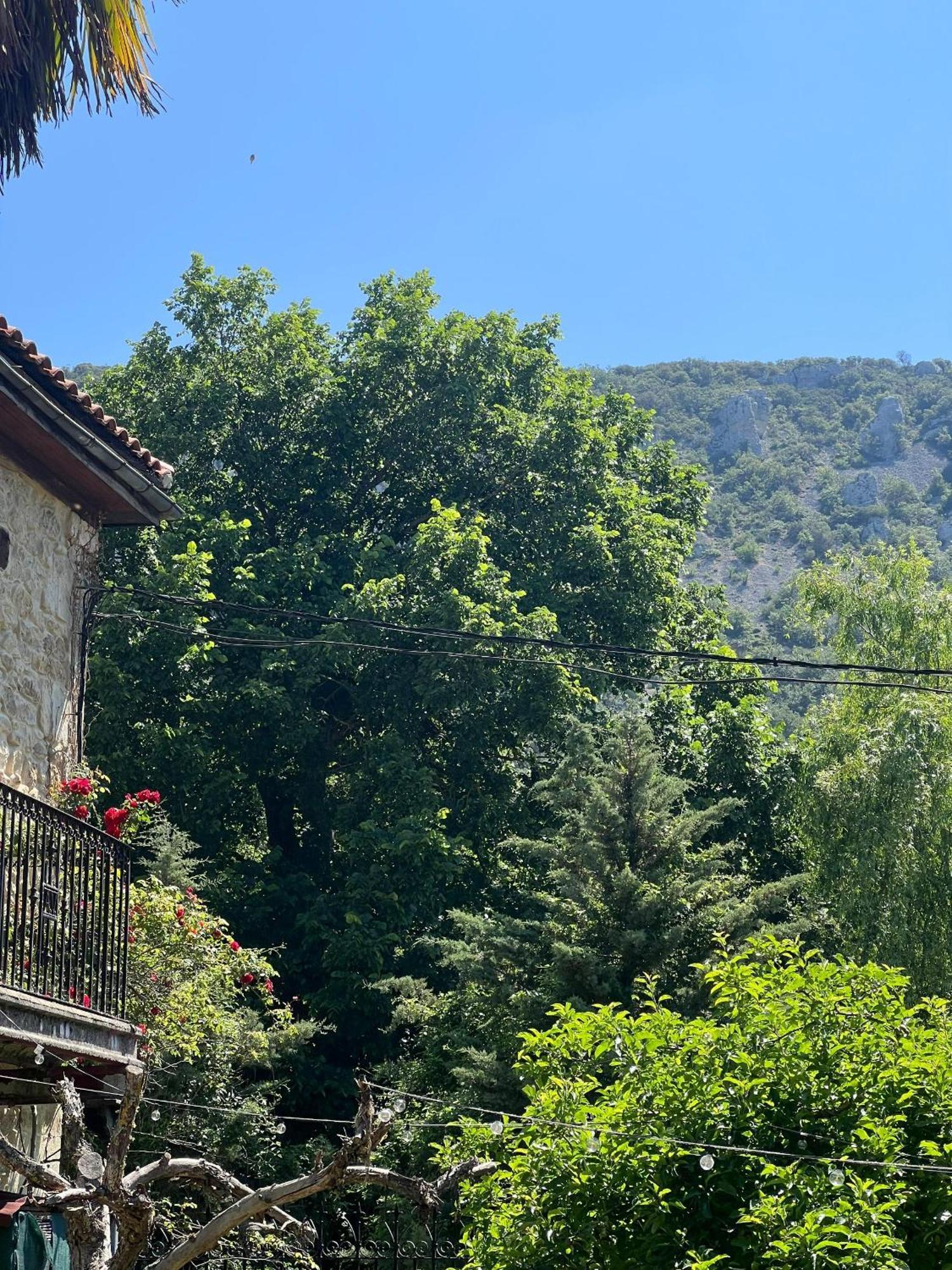 Palacio De Los Alvarado En Las Merindades El Ribero Εξωτερικό φωτογραφία