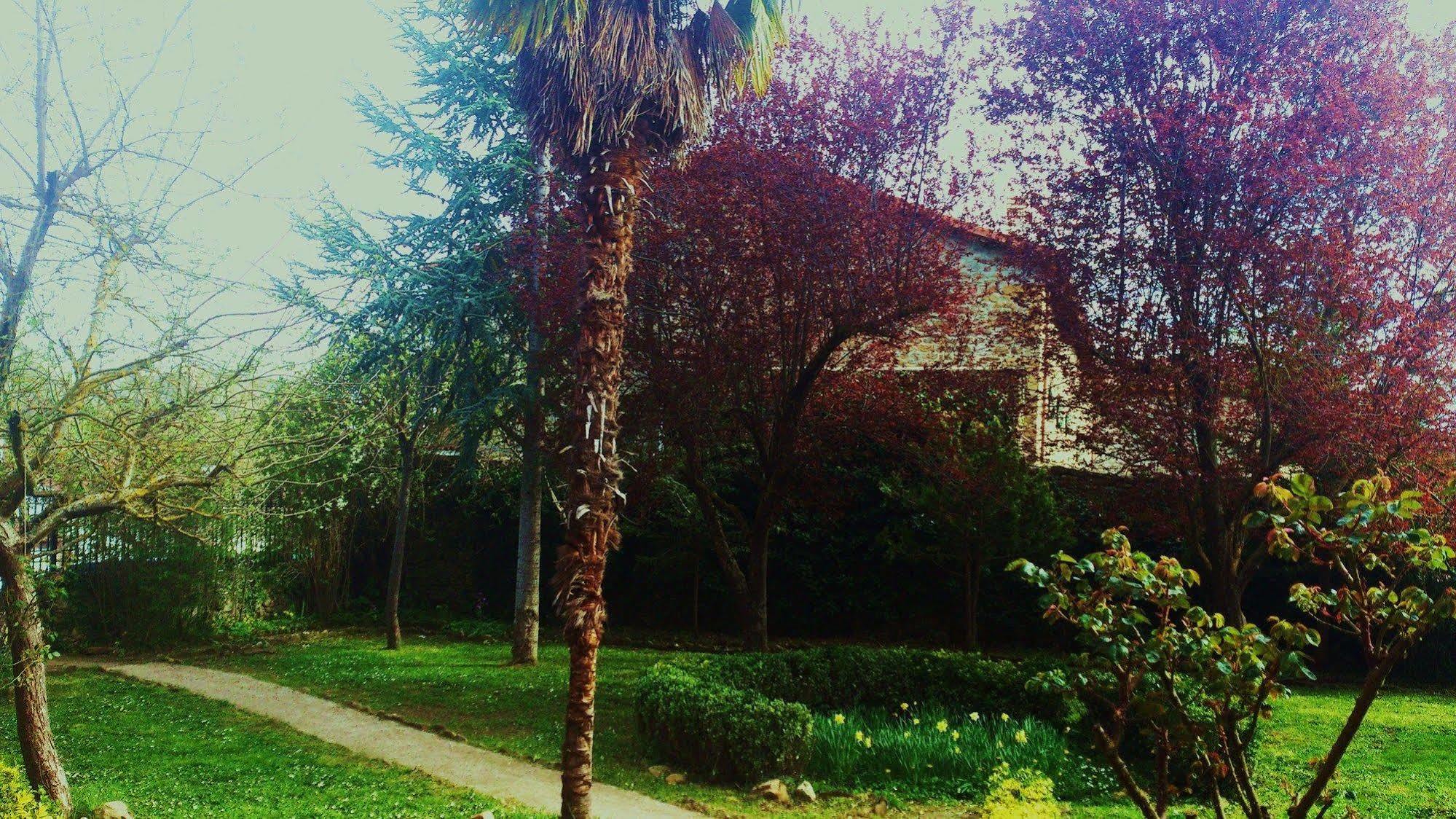 Palacio De Los Alvarado En Las Merindades El Ribero Εξωτερικό φωτογραφία